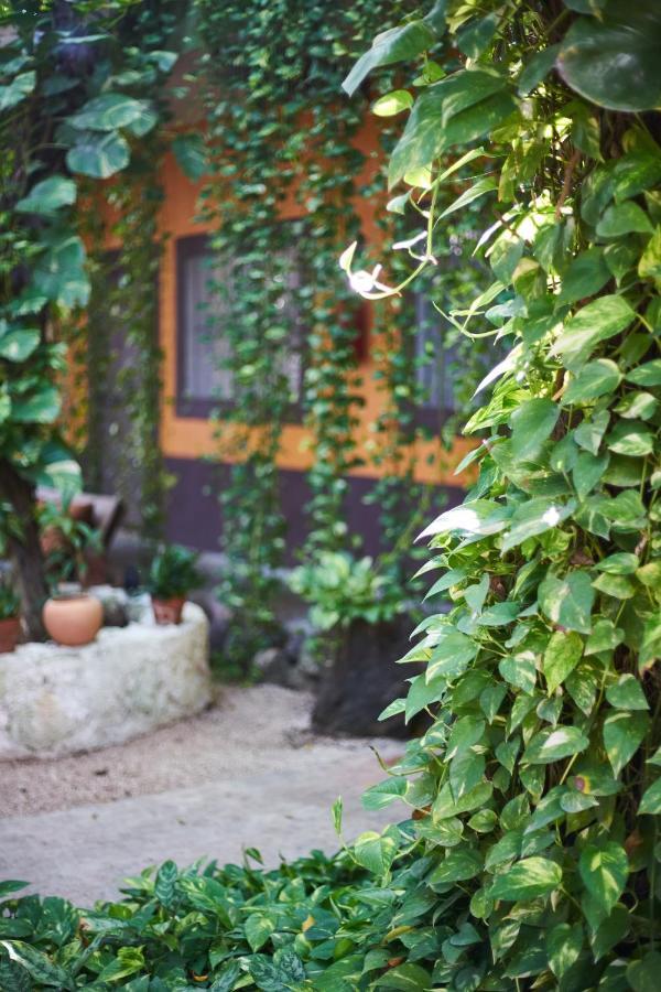 Secret Garden Tulum Hotel Екстериор снимка